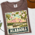 Alabama Graphic Tee product image 1