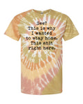 This is Why I Wanted to Stay Home Graphic Tee product image 1
