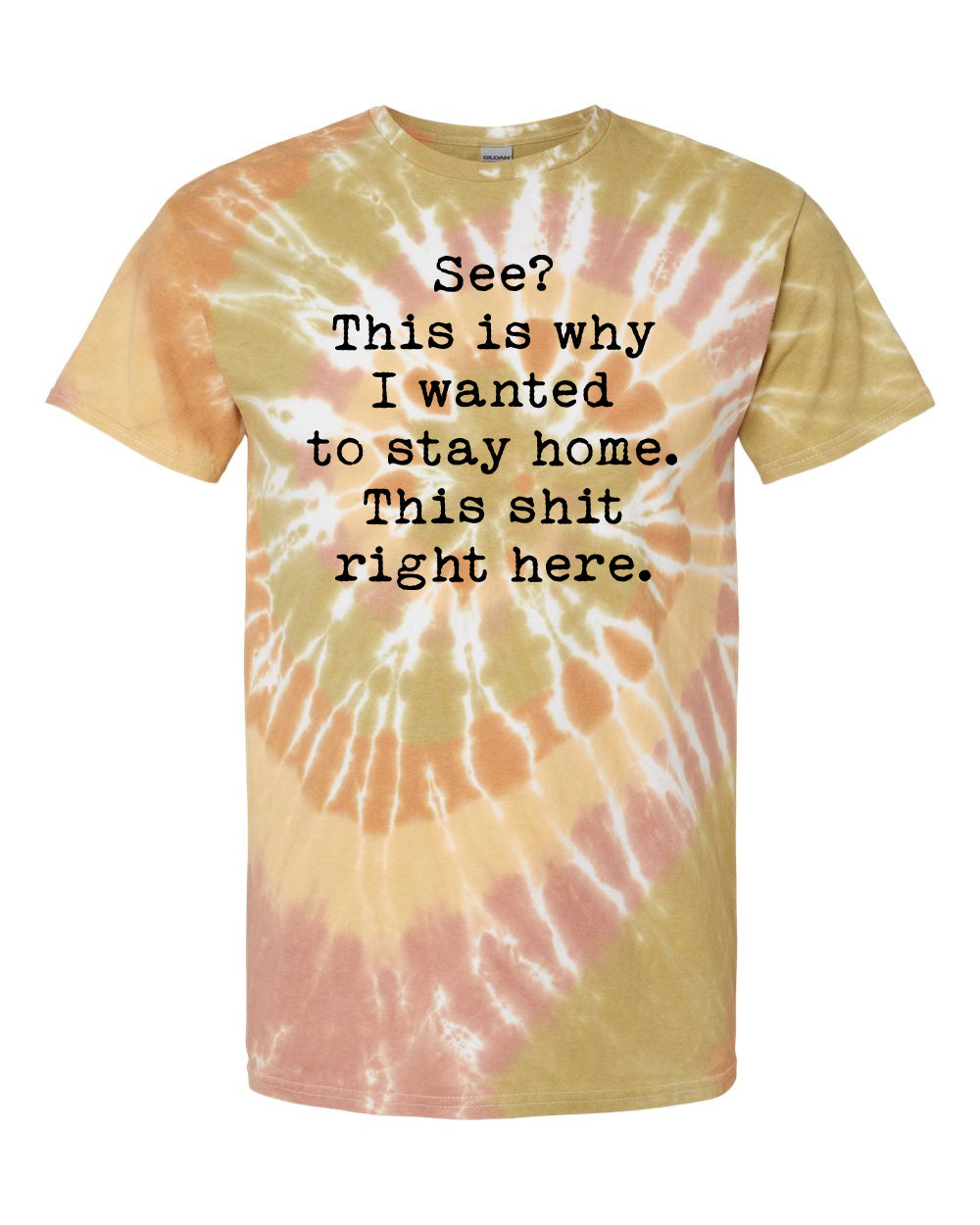 This is Why I Wanted to Stay Home Graphic Tee product image 1